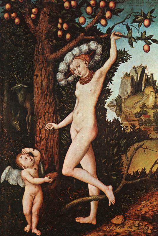 Lucas  Cranach Cupid Complaining to Venus Germany oil painting art